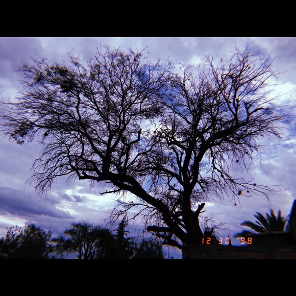grissxvgto